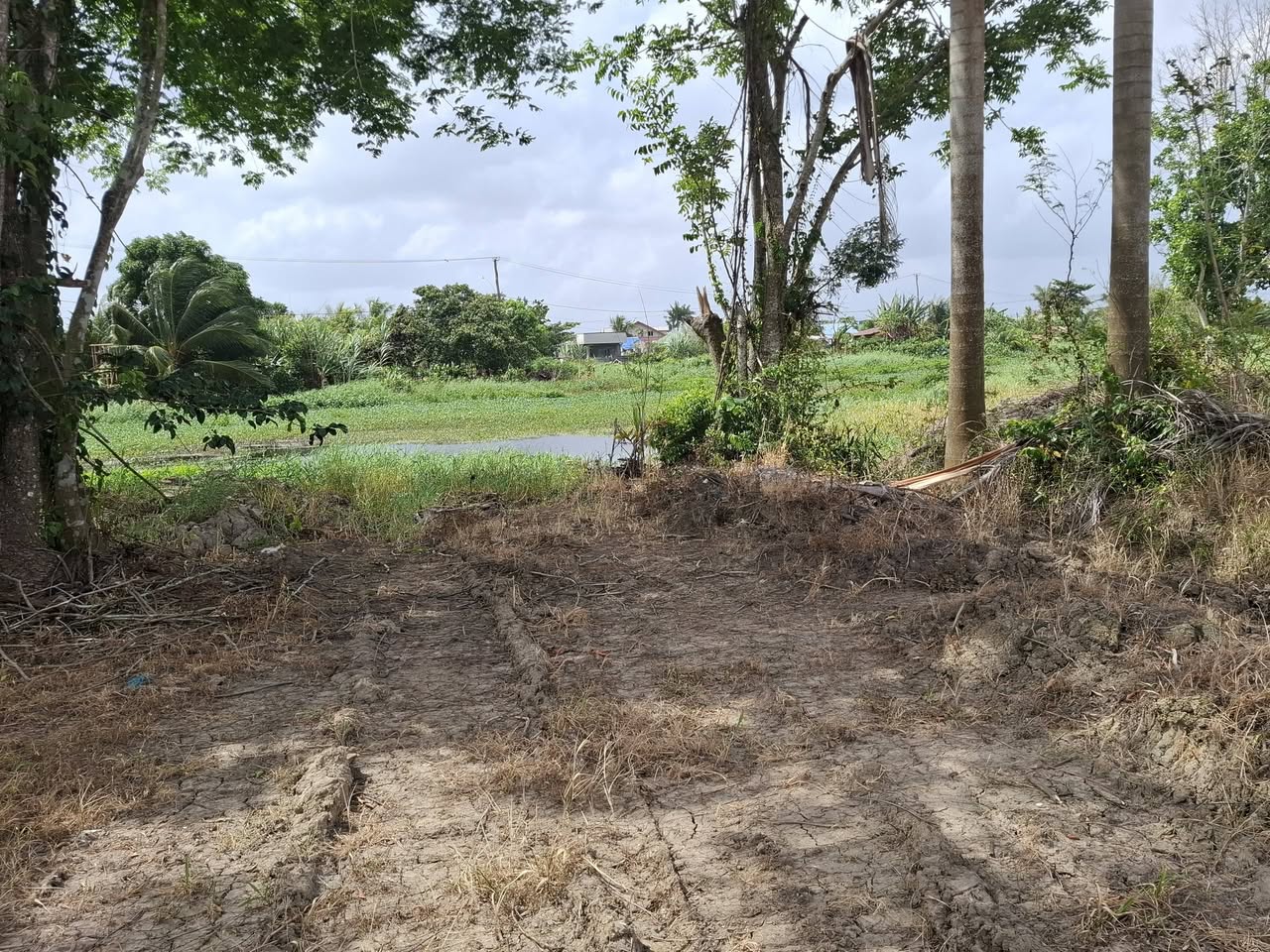 Musahalweg Paramaribo foto 2