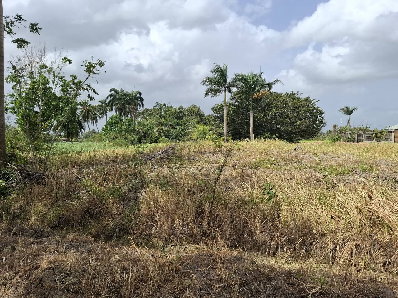 Musahalweg Paramaribo foto 4