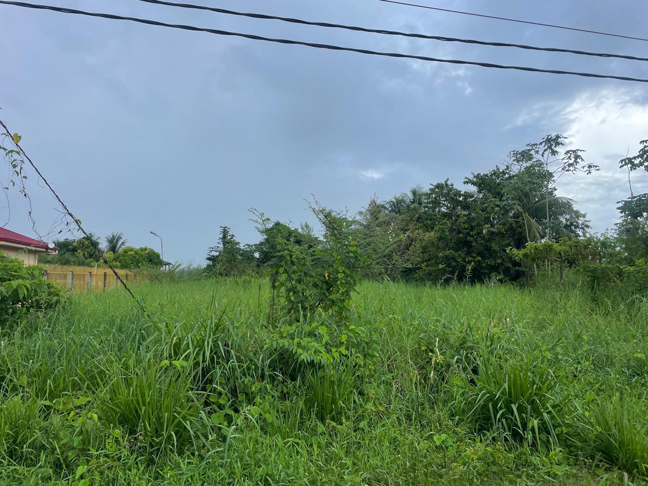 Putcherweg Zijweg Veenwortelweg aan de Suriname Rivier